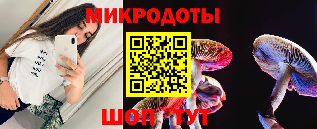 Орехово-Зуево  хочу   Вход с VPN  Псилоцибиновые грибы GOLDEN TEACHER 